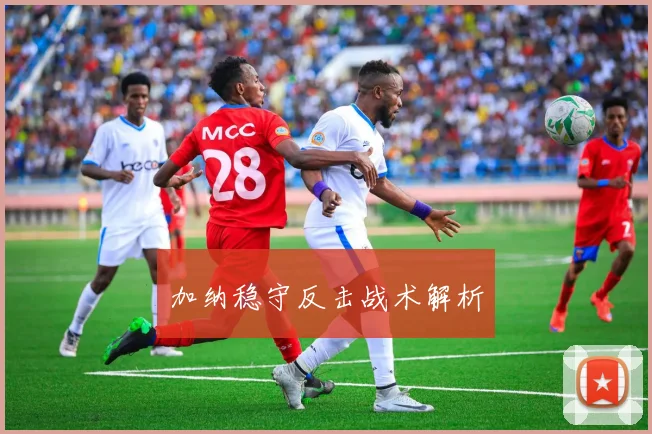 加纳稳守反击战术解析