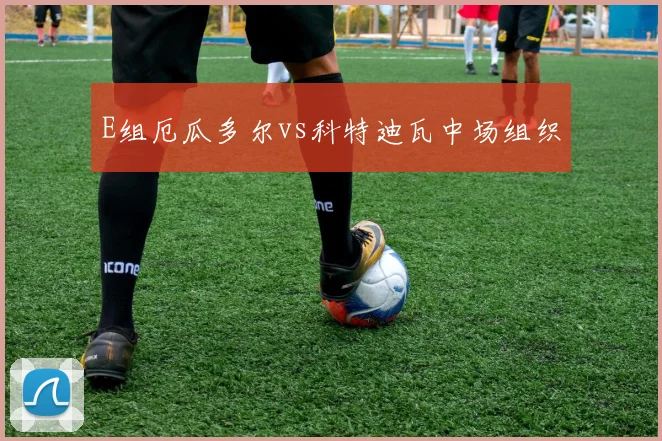 E组厄瓜多尔vs科特迪瓦中场组织