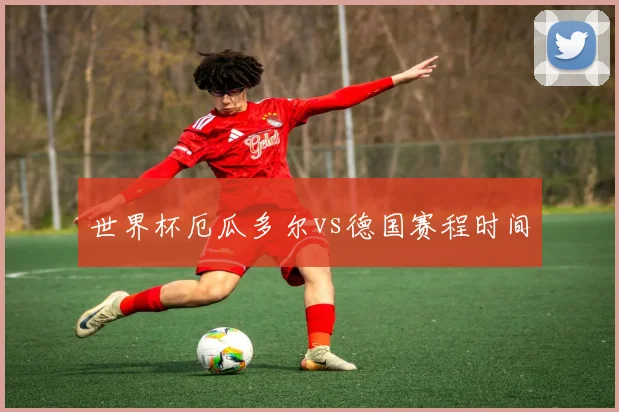 世界杯厄瓜多尔vs德国赛程时间