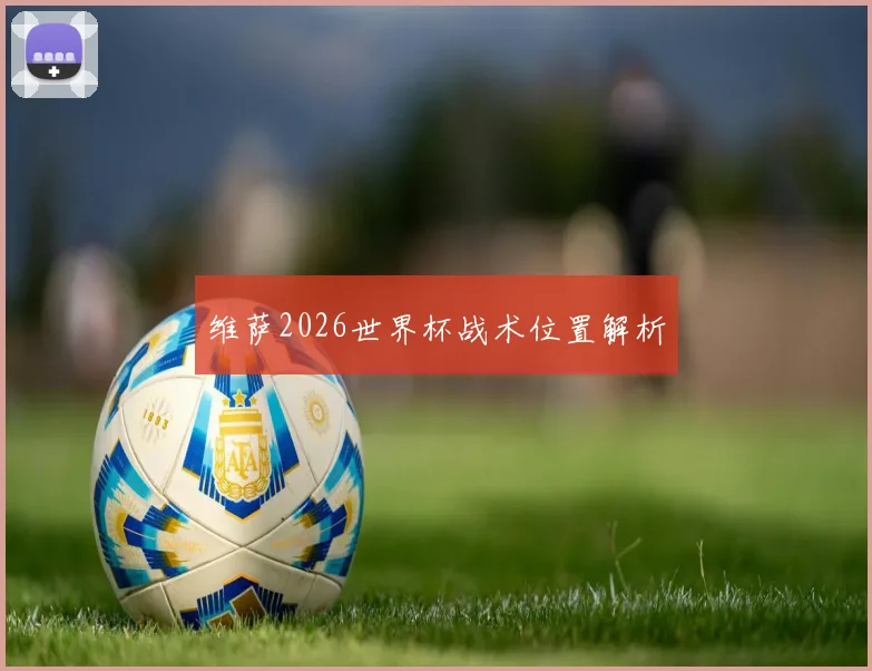 维萨2026世界杯战术位置解析