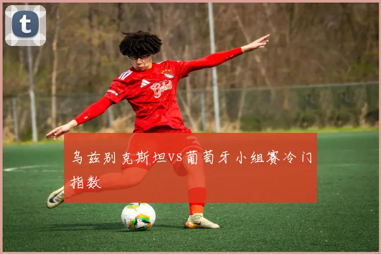 乌兹别克斯坦vs葡萄牙小组赛冷门指数