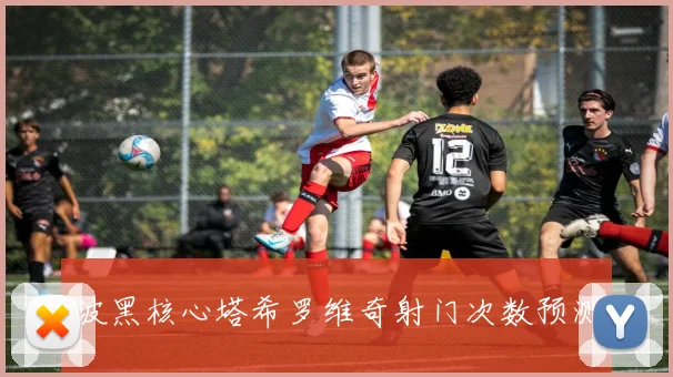 波黑核心塔希罗维奇射门次数预测