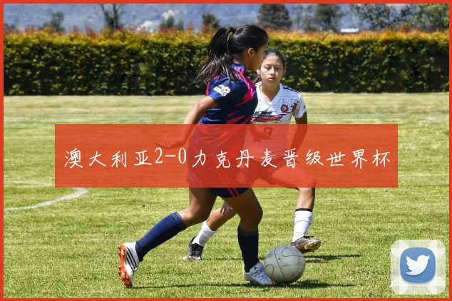 澳大利亚2-0力克丹麦晋级世界杯
