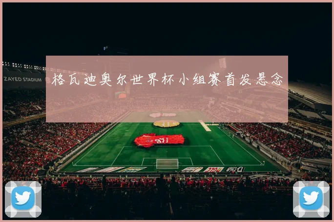 格瓦迪奥尔世界杯小组赛首发悬念